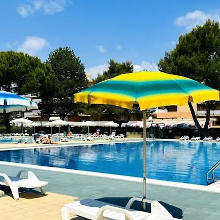 Enjoy Our In A Pool Paradise *